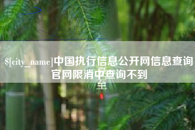 东莞中国执行信息公开网信息查询官网限消中查询不到