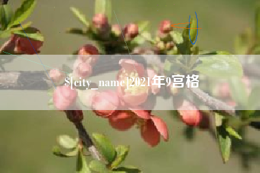 东莞2021年9宫格