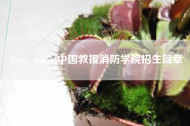 东莞中国救援消防学院招生简章