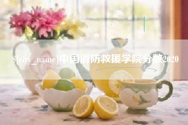 东莞中国消防救援学院分数2020