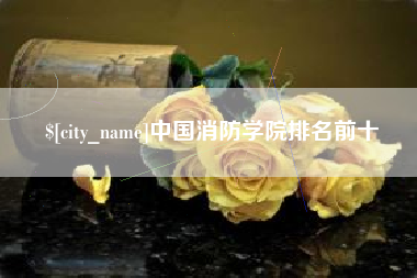 东莞中国消防学院排名前十