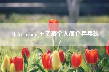 东莞王子豪个人简介乒乓球