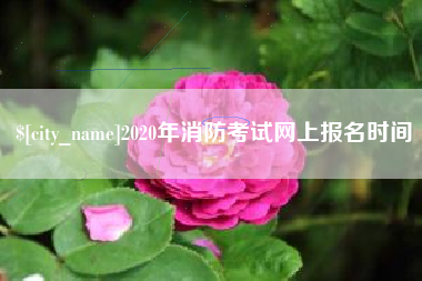东莞2020年消防考试网上报名时间