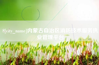 东莞内蒙古自治区消防技术服务执业管理平台