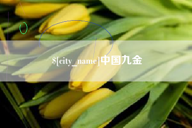 东莞中国九金