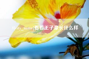 东莞看看王子豪长什么样