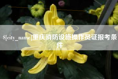 东莞重庆消防设施操作员证报考条件