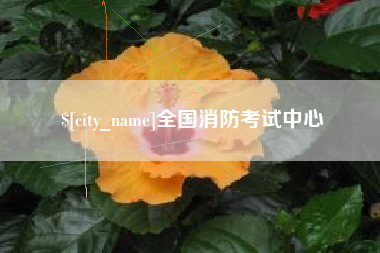 东莞全国消防考试中心