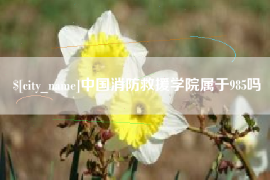 东莞中国消防救援学院属于985吗