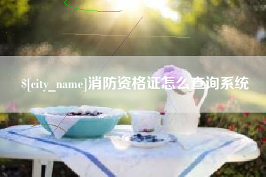 东莞消防资格证怎么查询系统