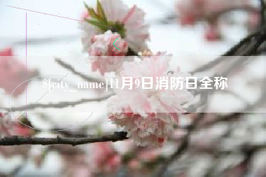 东莞11月9日消防日全称