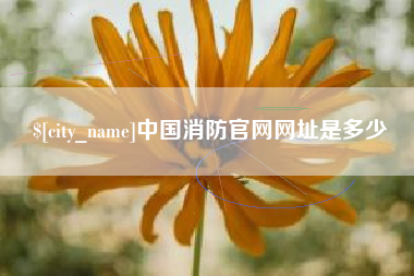 东莞中国消防官网网址是多少