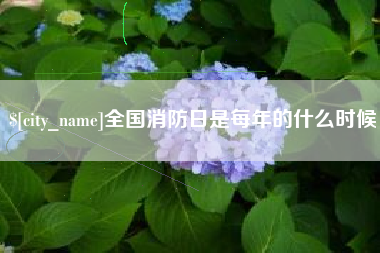 东莞全国消防日是每年的什么时候