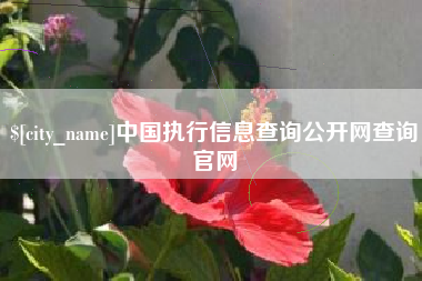 东莞中国执行信息查询公开网查询官网