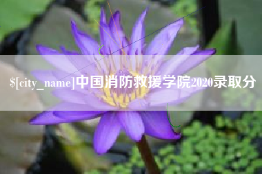 东莞中国消防救援学院2020录取分