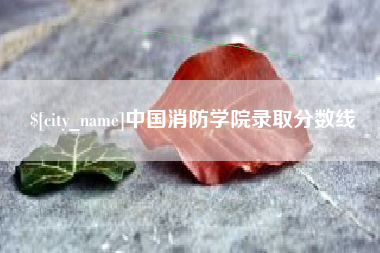 东莞中国消防学院录取分数线