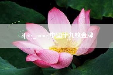 东莞中国十九枚金牌