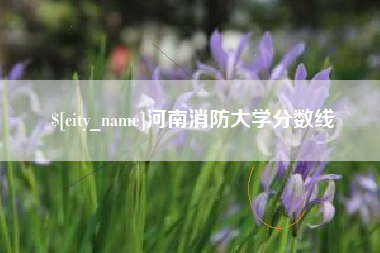 东莞河南消防大学分数线