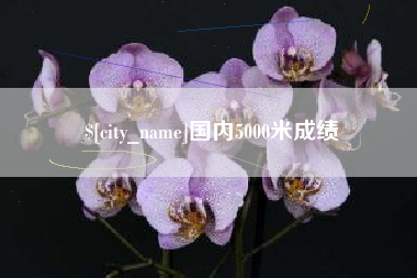 东莞国内5000米成绩