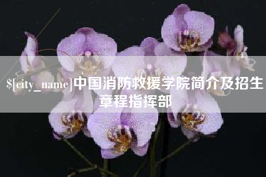 东莞中国消防救援学院简介及招生章程指挥部