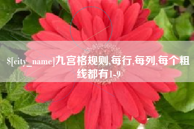 东莞九宫格规则,每行,每列,每个粗线都有1-9