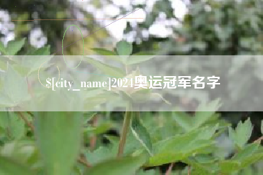 东莞2024奥运冠军名字