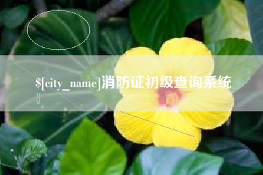 东莞消防证初级查询系统