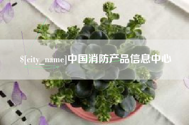 东莞中国消防产品信息中心