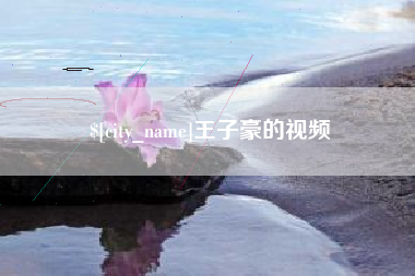 东莞王子豪的视频