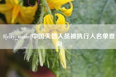 东莞中国失信人员被执行人名单查询