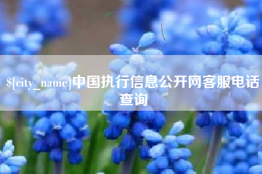 东莞中国执行信息公开网客服电话查询