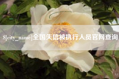 东莞全国失信被执行人员官网查询