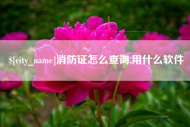 东莞消防证怎么查询,用什么软件