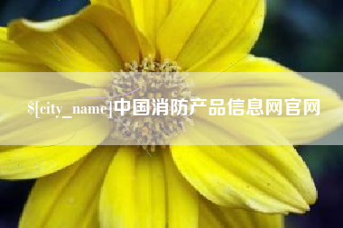 东莞中国消防产品信息网官网