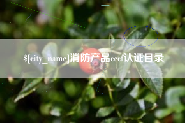 东莞消防产品cccf认证目录