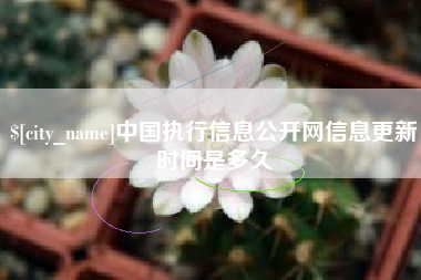 东莞中国执行信息公开网信息更新时间是多久