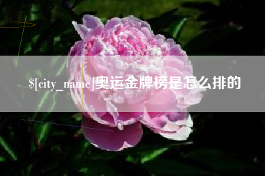 东莞奥运金牌榜是怎么排的
