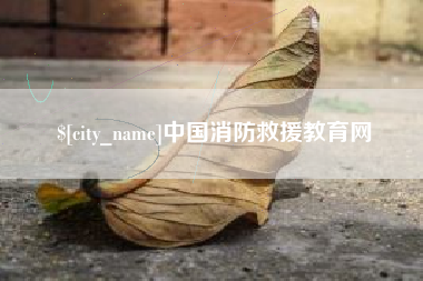 东莞中国消防救援教育网