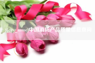 东莞中国消防产品质量信息查询