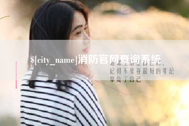 东莞消防官网查询系统