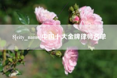 东莞中国十大金牌律师名单