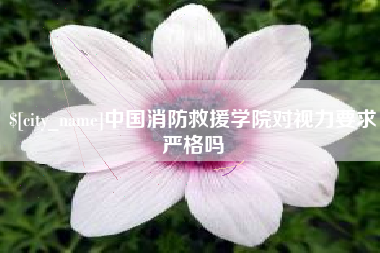 东莞中国消防救援学院对视力要求严格吗