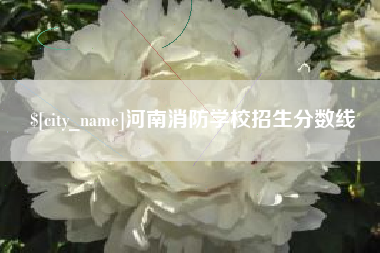 东莞河南消防学校招生分数线