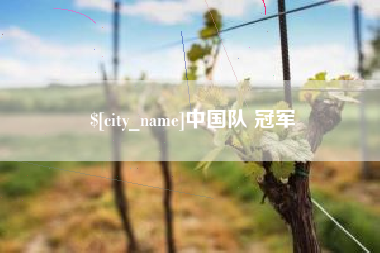 东莞中国队 冠军