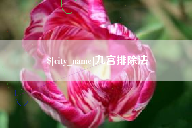 东莞九宫排除法