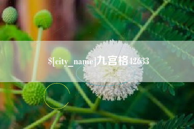 东莞九宫格42633