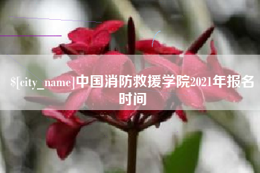 东莞中国消防救援学院2021年报名时间