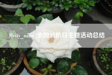 东莞全国消防日主题活动总结