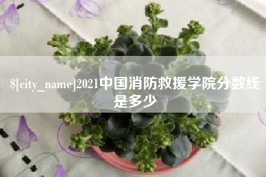 东莞2021中国消防救援学院分数线是多少