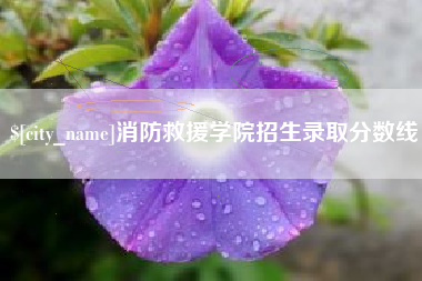 东莞消防救援学院招生录取分数线